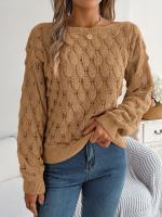 Suéter Casual de Invierno-Otoño Cuello Oblicuo, Manga Larga, Moda para Mujeres en Rosa - details 13