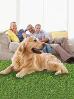 Estera artificial realista, jardín al aire libre, patio, campo, perro, mascota, simulación, estera de césped para mascotas - details 9