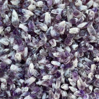 Combo de citrino de amatista Natural, trozos de puntos de cristal, cristales curativos, paisajismo, decoración de pecera Feng Shui, 100g - details 5