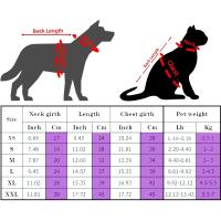 Ropa de moda para gatos, ropa para gatitos, sudadera con capucha para perros, ropa para gatos Sphynx, monos para mascotas - details 4