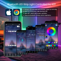 Tira de neón LED WS2812B para habitación, cuerda de silicona con patrón reticulado, impermeable, Flexible, colorida, 5V, Control Bluetooth - details 2