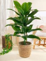Plantas artificiales grandes para decoración del hogar, ramas de hojas de árboles pseudo tropicales de tacto real, plantas de plástico para jardín, 68 - details 1