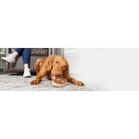 juguete petsafe para mascotas