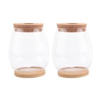 Estaciones de propagación de plantas, terrario de plantas de escritorio separado de 2 piezas con bandeja de madera y tapa para propagar hidropónico - details 1