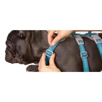 arnés para perros