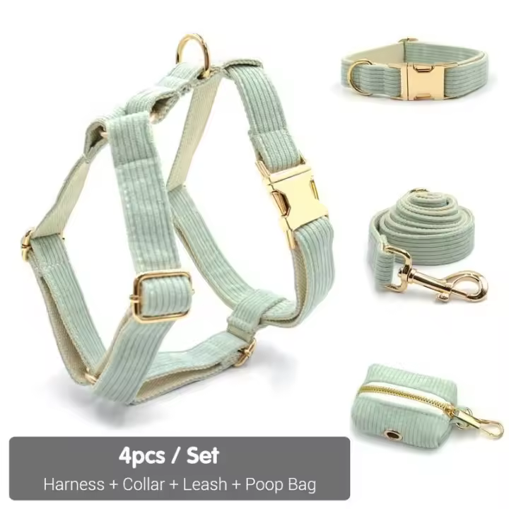 Collar Pana Verde Mint, personalizado, antipérdida, para Perros Pequeños, medianos y grandes, elegante, Conjunto de Correa - 1