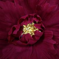 Nueva peonía Artificial de seda de 30/50cm, fondo de flores grandes gigantes, flores falsas, flores artificiales, accesorios de fotografía para jardín - details 7