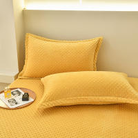 Bonenjoy-funda de almohada de terciopelo cálido, Fundas de cojín de Color sólido, 2 piezas, rectangular, 48x74cm - details 2