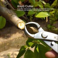 Cortauñas De Acero Inoxidable 18cm Herramientas De Jardinería Para Modelado De Paisajismo Y Bonsái Accesorios De Jardín - details 0