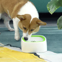 Dispensador de agua potable para perro, cuenco a prueba de salpicaduras sin derrames, adecuado para uso interior y exterior - details 6