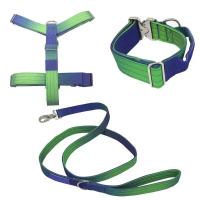 Juego Collar correa perro nailon resistente, cuerda entrenamiento mascotas ustable sin tirar con cierre Metal para caminatas de - details 14