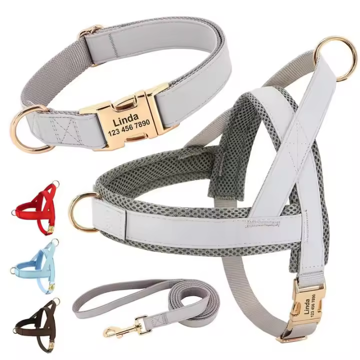 Collar de cuero para perros, juego de correas, chaleco de malla para mascotas, identificación personalizada, cables para perros pequeños, medianos y grandes - 1