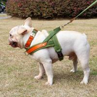 Collar de Cuero de Nylon para Perros Correa de Captura de Mascotas sin Tirón para Perros Pequeños y Grandes Correa de Vestir de Mascotas - details 23