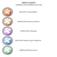 Dispositivo de belleza de fotones LED, electroporación EMS de radiofrecuencia RF 5 en 1, masajeador facial antiarrugas para el cuidado de la piel - details 12