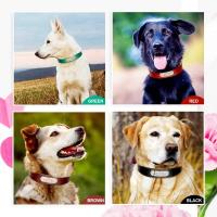 Juego auténtico perros, collares personalizados de cuero genuino mascotas, correas personalizadas para perros pequeños, medianos - details 12