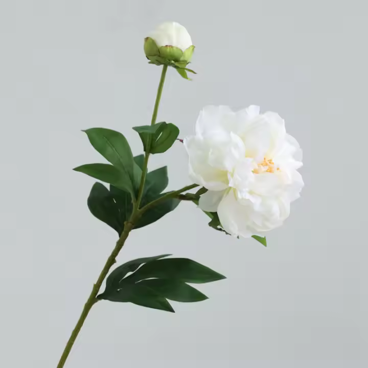 Ramo de Flor de Peonía de Doble Cabeza de Alta Gama 5PCS Decoración de Sala China - 1