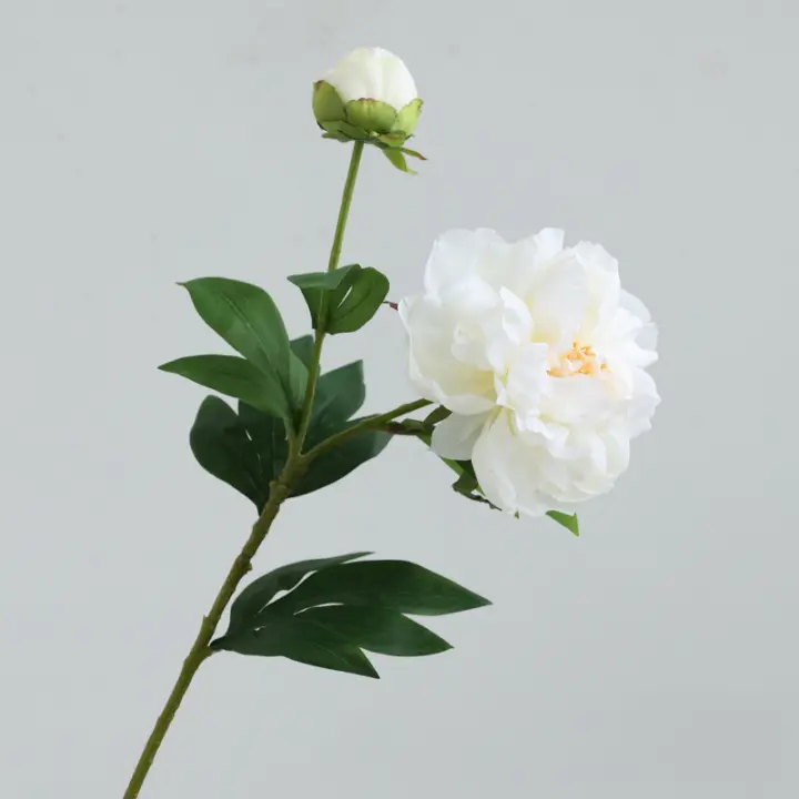 Ramo de Flor de Peonía de Doble Cabeza de Alta Gama 5PCS Decoración de Sala China - 1