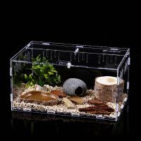 Contenedor acrílico profesional para lagarto, ranas, incubadora de insectos, terrarios, caja de cría, incubadora de reptiles, suministros para insectos - details 5