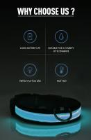 Correa LED de nailon para perro, Collar fluorescente luminoso de seguridad nocturna que brilla en la oscuridad - details 5