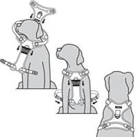 Voyager de Best Pet Supplies – Arnés delantero estable sin tirones con tecnología reflectante 3M - details 5