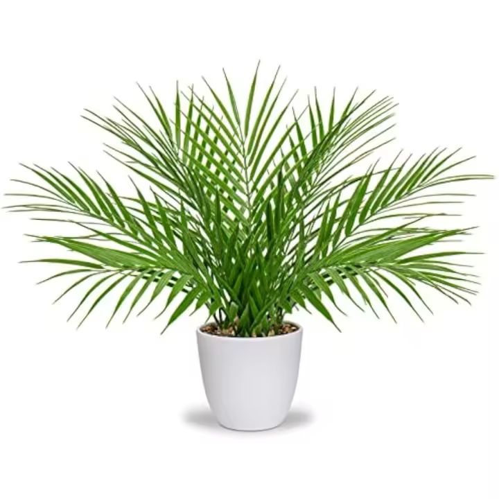 Planta Artificial Moderna de Palmera 40,6 cm en Maceta Ideal para Sala, Balcón, Dormitorio, Baño, Decoración de Mesa - 1