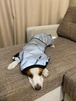 Chaqueta impermeable para perros Reflectante Solar para exteriores Ropa de abrigo para perros pequeños medianos y grandes - details 10