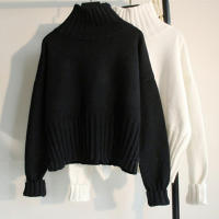 Women turtleneck autumn winter long sleeve thick jumpers solid warm sweater - details 0