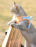 HOOPET-Chaleco con correa para gato, arnés ajustable de malla transpirable para exteriores, tirantes para el pecho, Collar impermeable - details 6