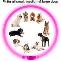 Collar con luz Led para perro, Correa luminosa de carga USB, desmontable, brillante, para gato grande, Labrador pequeño, productos para mascotas - details 4