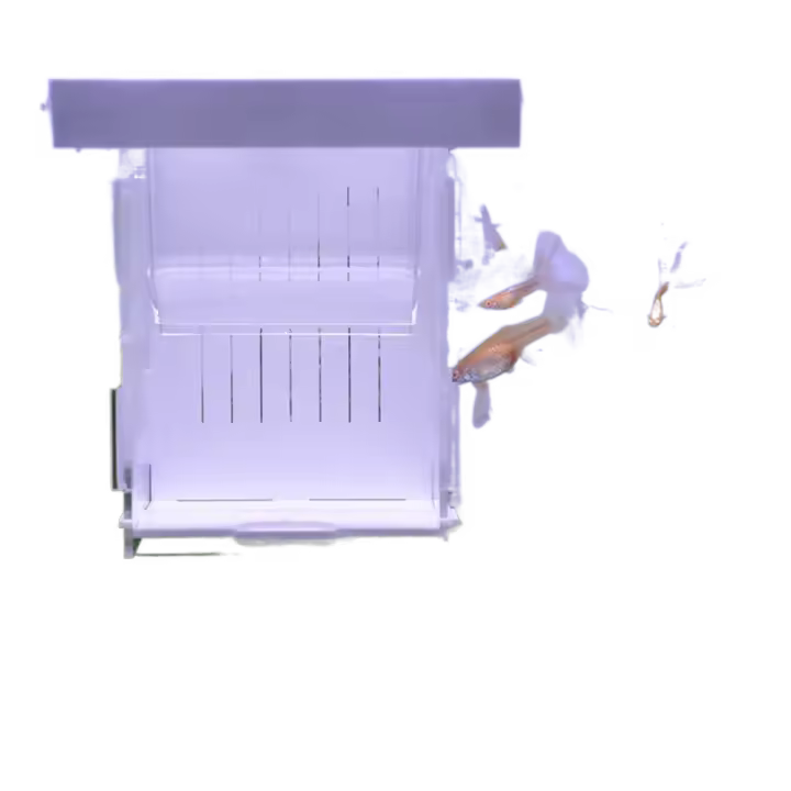 Caja de aislamiento de peces acrílica, incubadora desmontable para incubación de pecera, caja flotante para incubar, caja de aislamiento transparente para cría de peces - 1