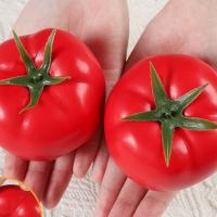 Mini adorno de tomate Artificial, modelo de tomate de simulación de plástico realista, artesanías, accesorios de verduras falsas, decoración del hogar, 5 uds. - details 13