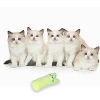Juguetes para masticar hierba gatera, felpa interactiva divertida para gatos - details 5