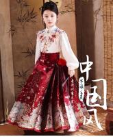 Hanfu, nueva falda con cara de caballo chino para niños, ropa estilo Tang de Año Nuevo para niñas, conjunto de temporada de primavera y otoño - details 2