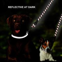 Correa para Perros Benepaw Duradera Doble con Reflectantes y Resistente 360° Sin Enredos para Perros Pequeños Medianos y Grandes - details 4