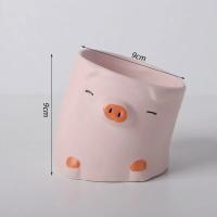 Macetas de Dibujos Animados de Plantas Suculentas Pequeñas Flores para Decorar tu Escritorio - details 4