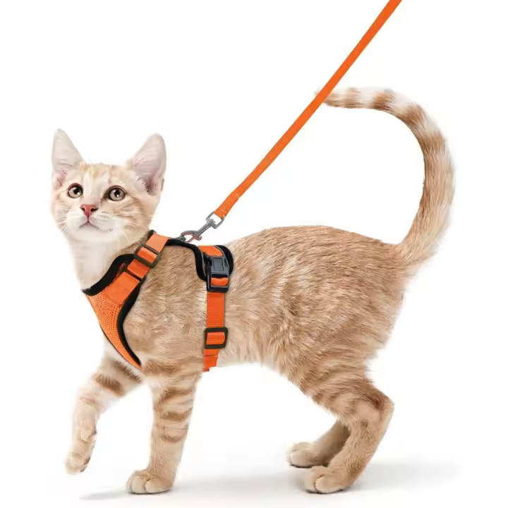 Arnés y correa para gatos para caminar, arneses de chaleco ajustables suaves a prueba de escapes para gatos, chaqueta con tiras reflectantes transpirables de fácil control, - 1