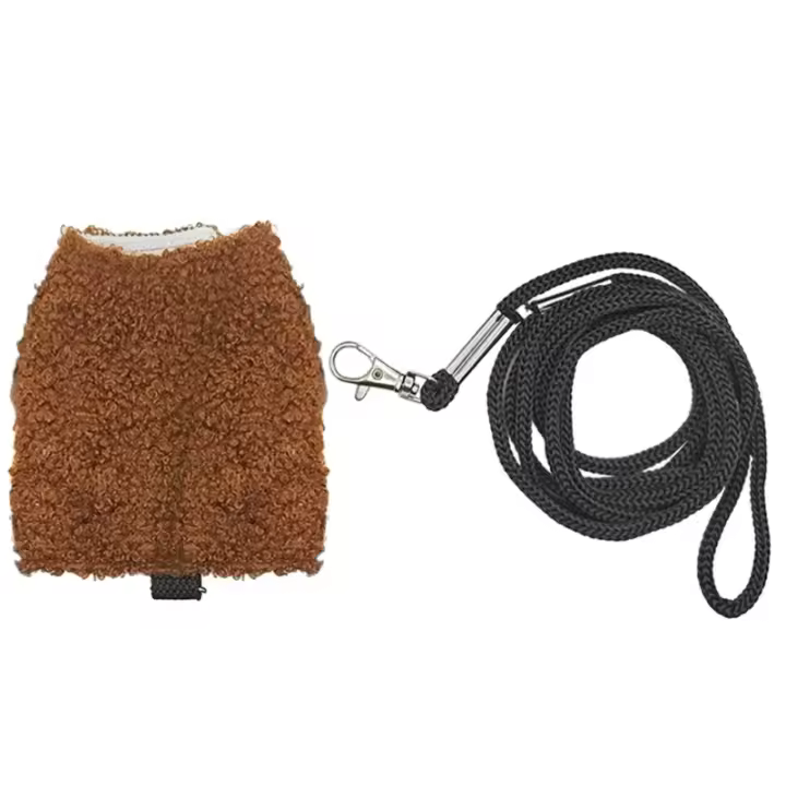 Traje para mascota pequeña, arnés, disfraz de lagartos, ropa para exteriores, arnés para Reptiles Y5GB - 1