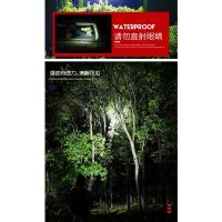 Linterna LED de Alta Potencia Portátil, Impermeable, Más de 93m de Luz de Camino, Carga USB, Ideal para Acampar y Pescar - details 3