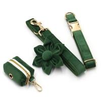 terciopelo verde pavo real grabado, conjunto correa de arnés perros personalizado, Collar ustable sin escape para mascotas con - details 4