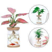 Florero de plástico hidropónico transparente, maceta de estilo Simple, arreglo wer, adorno de mesa de ración para el hogar - details 4
