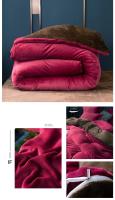 Cubierta de Edredón de Franela para Invierno Moda Doble Color Suave y Cálido Cubierta de Colchón Gruesa y Cómoda para Adultos y Niños - details 17