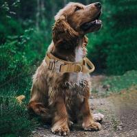Perro pastor alemán táctico militar duradero, collares medianos y grandes para entrenamiento para caminar, mango de Control de collar para perro - details 16
