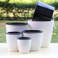Plantas de autorriego Lazy ETA, ETER para cultivo de flores sin suelo, bonsái de mesa, decoración, suministros de jardín para el hogar - details 0