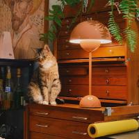 Lámpara de mesa de seta recargable por USB, accesorio de iluminación interior con ajuste de tres velocidades, lámpara de escritorio de brote de flores, decoración del Hoom, luz nocturna - details 4