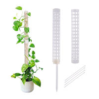 Columna de escalada de plantas, poste de musgo Sphagnum, soporte de cultivo de plantas, soporte de retención de agua, palo de extensión de plantas rico en fertilizante - details 0