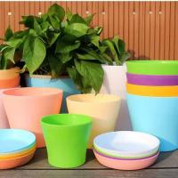 Flor interior decorativa para el hogar para plantas, macetas de plástico para jardín, venta al por mayor - details 5