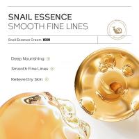 Crema de Caracol de Nutrición para Belleza Anti-envejecimiento Esencia, Removedor de Arrugas Faciales, Hidratante Herramientas de Cuidado de la Piel de Belleza 30g - details 5