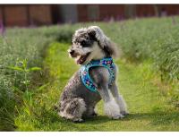 Truelove-arnés de malla de aire suave para mascotas, chaleco reflectante ajustable para mascotas, razas pequeñas y medianas, sin tirones, ajustable, TLH3016 - details 12
