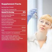 ZOOONE NR1000 - Mezcla de bebidas con sabor a bayas NAD+ para apoyar la energía del envejecimiento de la piel - details 4