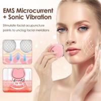 Masajeador Facial
